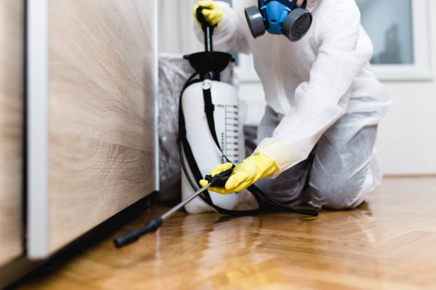 Best Rat Extermination Near Me  in Inesville, GA