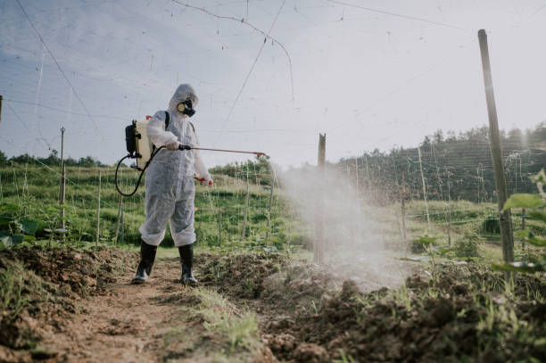 Best Mosquito Control Services  in Inesville, GA