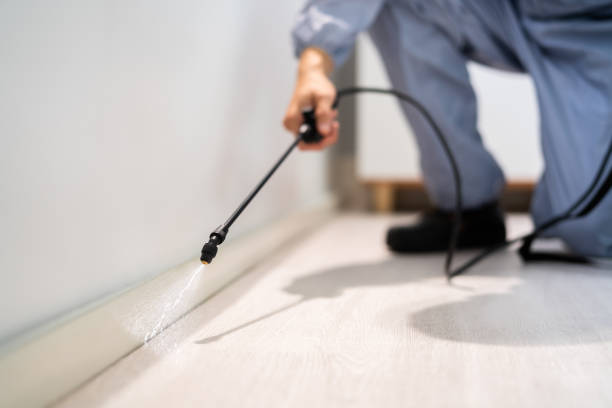 Best Flea Control Services  in Inesville, GA