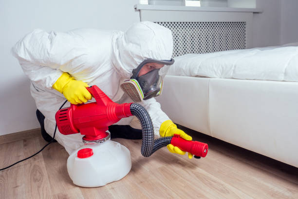 Best Pest Control Near Me  in Inesville, GA
