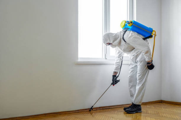 Best Pest Control for Homes  in Inesville, GA
