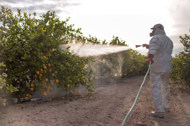 Best Emergency Pest Control  in Inesville, GA