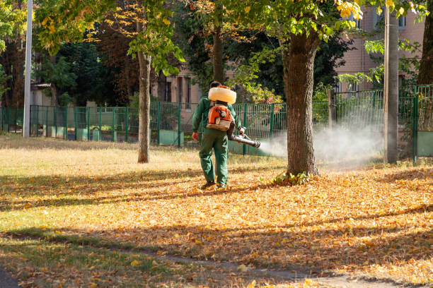 Best Bed Bug Extermination  in Inesville, GA