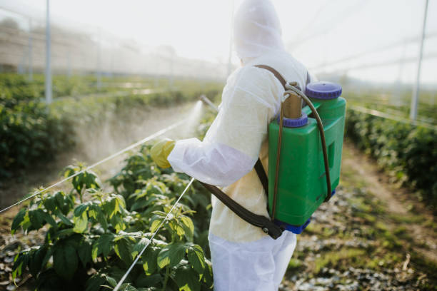Best Best Pest Control Companies  in Inesville, GA